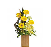 Send your get well wishes with a stylish arrangement of Gerberas, carnations and alstroemerias in a natural bamboo vase.