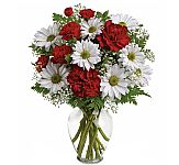 A very affordable vase of red and white blooms. Same day delivery is available to most Canadian cities!