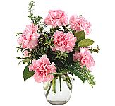 Budget bouquet of 9 pink carnations arranged in a clear glass vase. Budget birthday flowers for Canadian delivery.