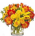 Teleflora's Summer Samba colourfully cheerful flowers for any occasion.