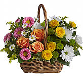 Send your sympathy thoughts and prayers with this lovely basket of roses, spray roses, daisies and asters.
