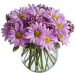 Teleflora's Delightfully Daisy delivered in a bubble bowl and bursting with joy.
