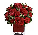 Teleflora's Precious Love arrangement of red carnations in a modern cube vase. Perfect for Valentines gift giving in Canada, found online at Canada Flowers.