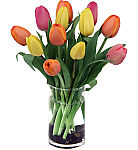 One dozen assorted colour tulips are arranged in a clear cylinder vase. A nice, affordable gift, perfect for any occasion.