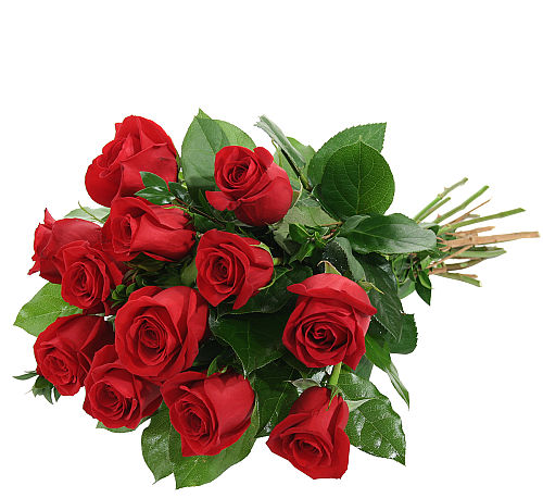 One Dozen Red Roses Bq13aa · Wrapped Bouquets · Canada Flowersca