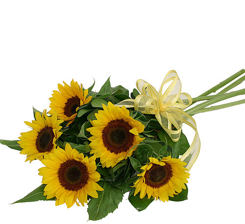 Sunflower Bouquet Bq21aa Wrapped Bouquets Canada Flowers Ca