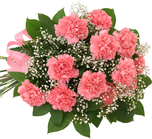 12 Pink Carnations Bouquet