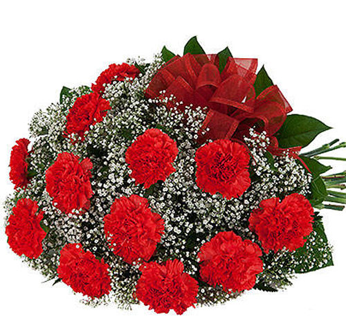 12 Red Carnations Bouquet