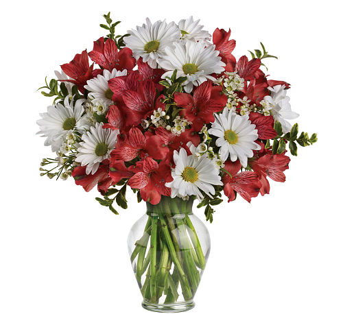 Teleflora's Dancing in Daisies Bouquet (TEV123C