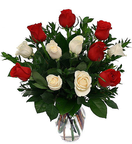 Red and White Roses
