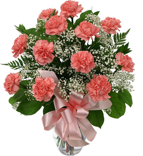 Twelve Pink Carnations
