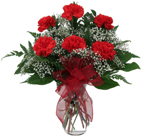 Six Red Carnations