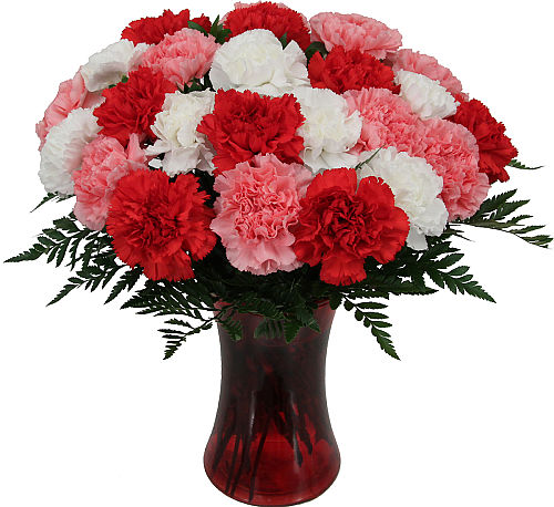 Two Dozen Mixed Carnations
