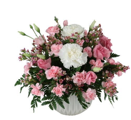 standard flowers