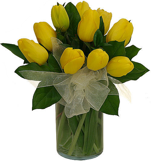 Ten Yellow Tulips