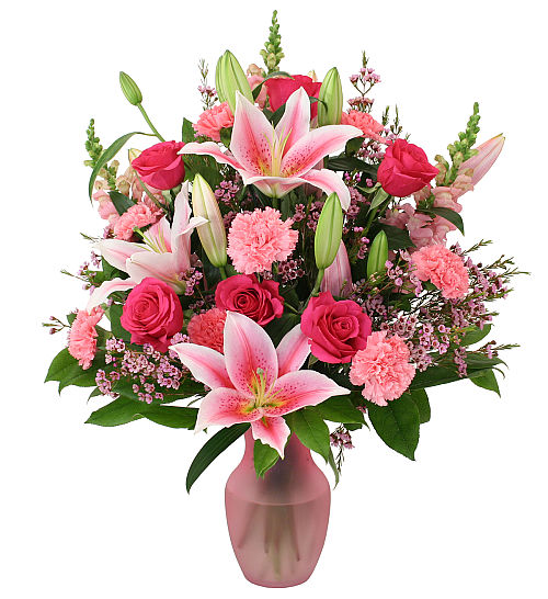 Premium Pinks