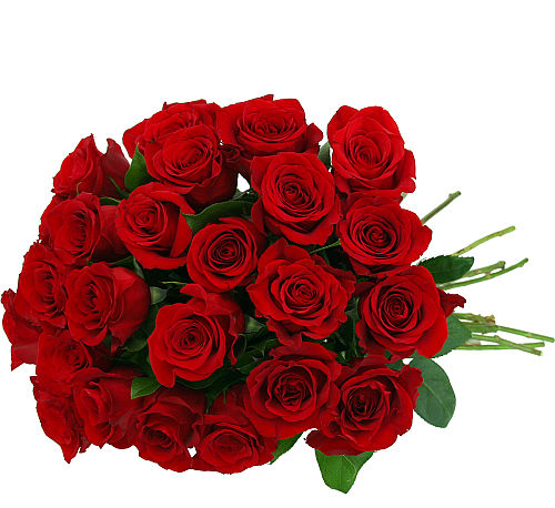 24 Stems Rose Bouquet