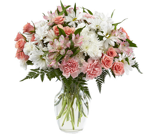 premium flowers