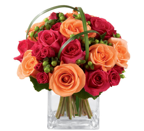 premium flowers