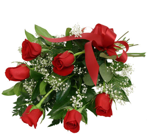 One Half Dozen Red Roses