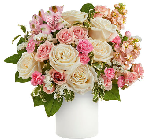 premium flowers