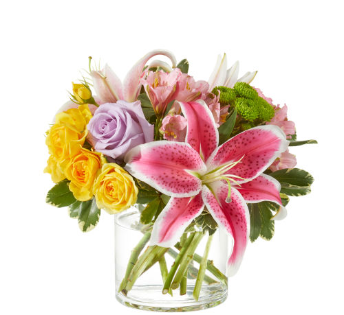 standard flowers