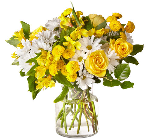 premium flowers