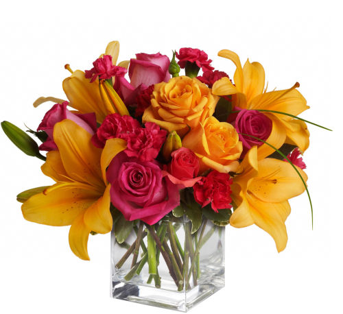 premium flowers