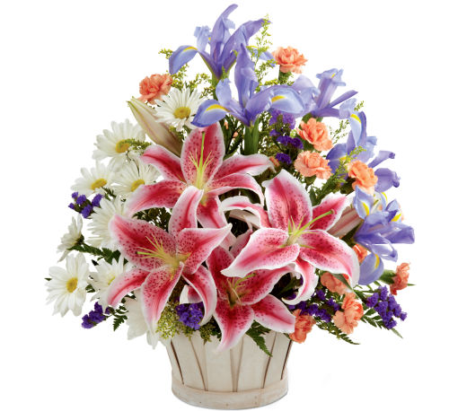 premium flowers
