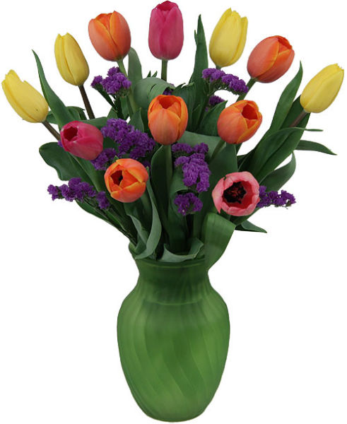 Spring Tulips