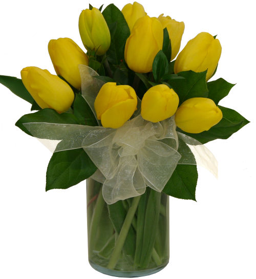 Ten Yellow Tulips