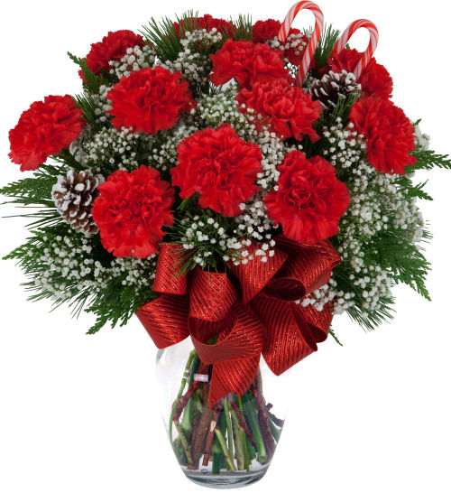 Classic Christmas Carnations