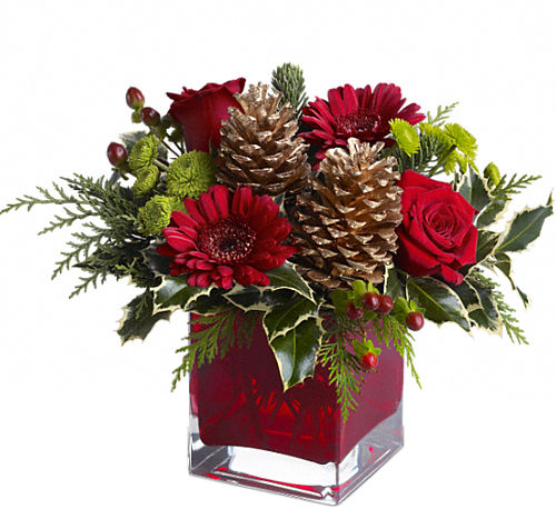 Teleflora's Cozy Christmas
