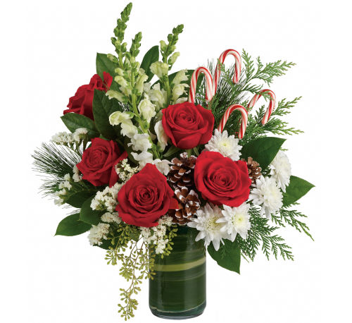 Teleflora's Festive Pines Bouquet