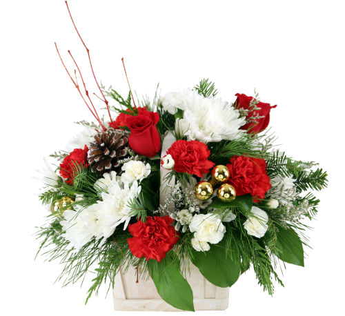 Holiday Delight