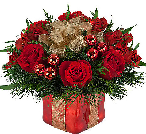 Ruby Red Christmas Gift