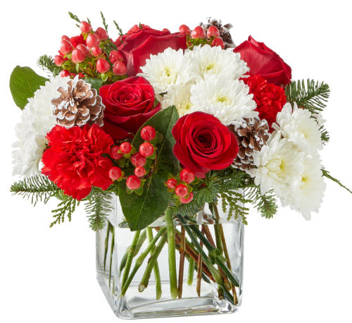 premium flowers