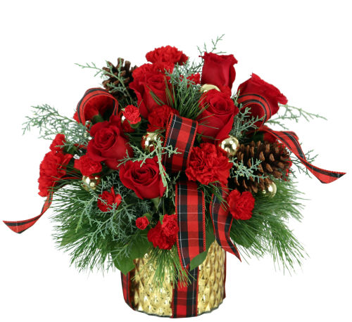 Wrapped In Joy