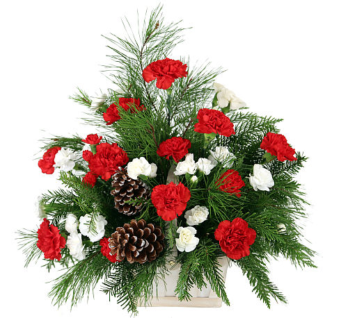 standard flowers