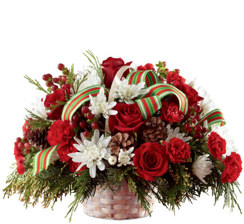 premium flowers