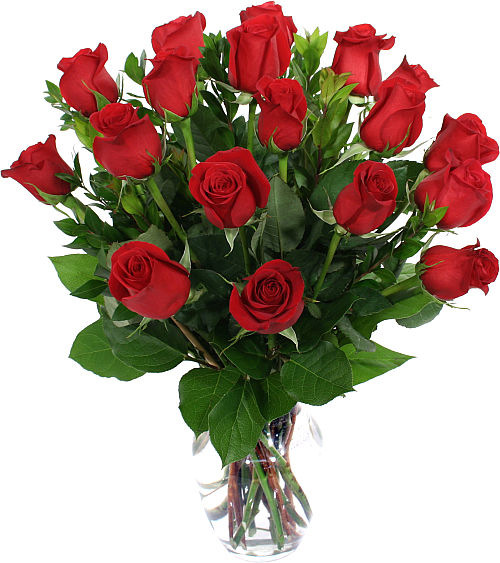 18 Red Roses in a Vase