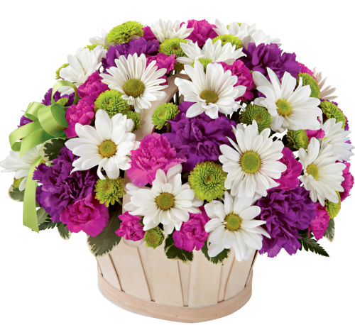 premium flowers