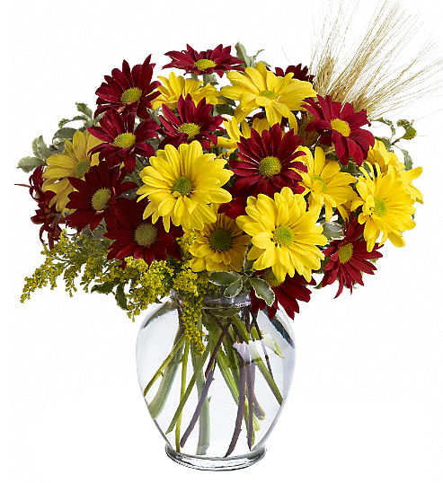 Teleflora's Fall For Daisies