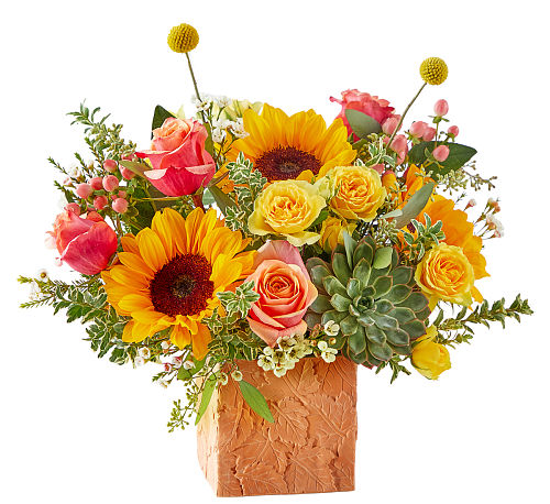 premium flowers