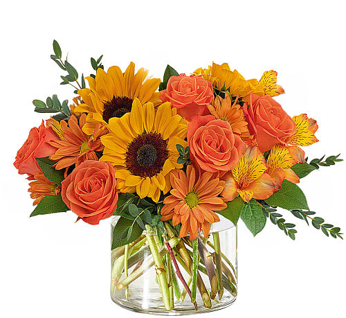 premium flowers