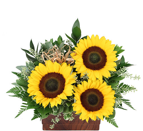 standard flowers