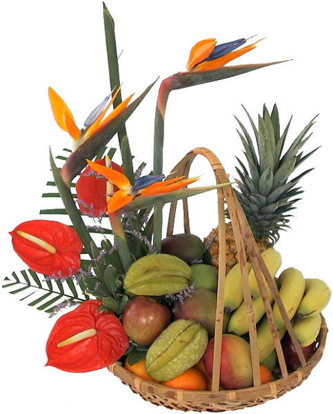 Tropical Flowers and Fruit