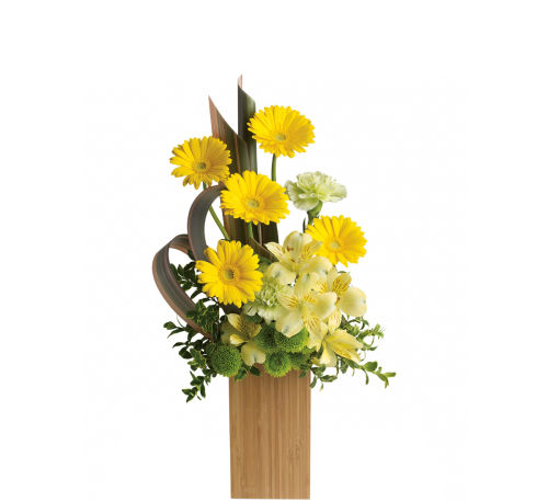 standard flowers