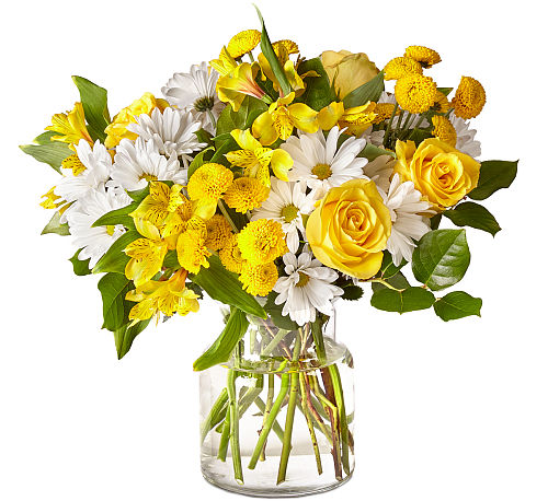 premium flowers