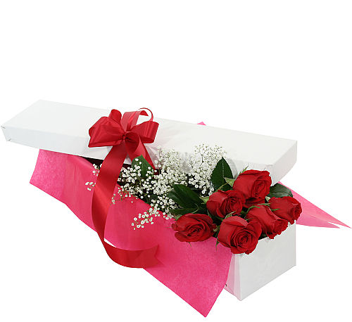Six Red Roses in a Gift Box